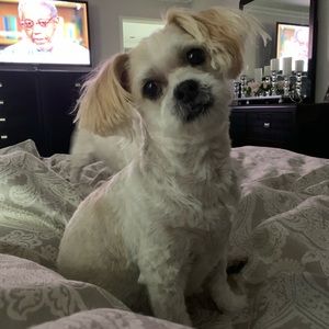 Meet your Posher, Debby